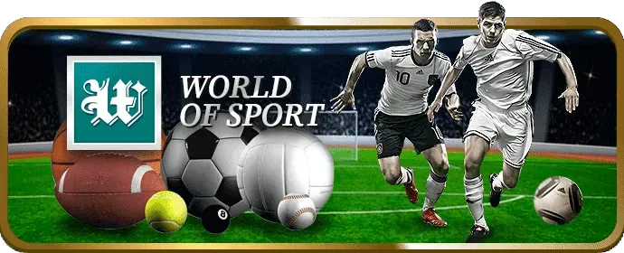Minh họa quy trình đăng ký và đặt cược tại pkbet